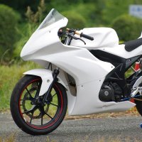 GSX-R125/150　アッパー＆アンダー＆スクリーンセット