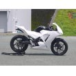 画像2: 14' CBR250R カウルセット  (2)